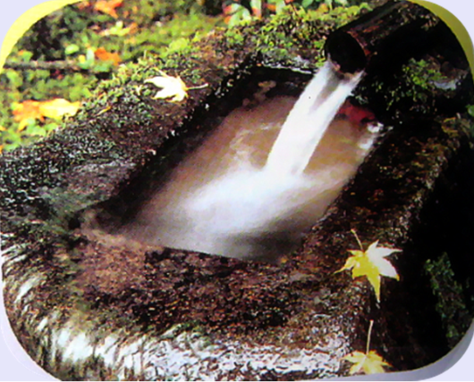苔藓0.png 苔藓0.png